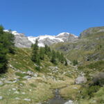 dscf6618